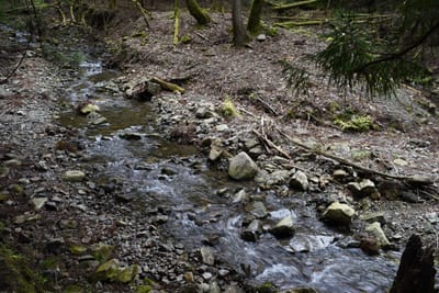 DSC_3868.JPG