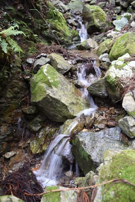 DSC_3871.JPG