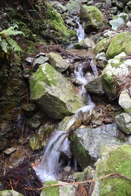 DSC_3872.JPG