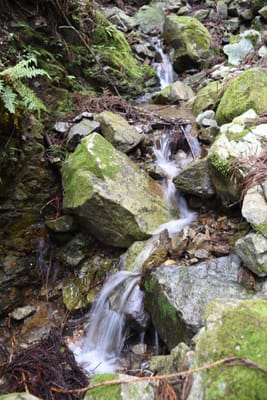 DSC_3873.JPG