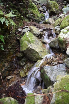 DSC_3874.JPG