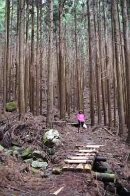 DSC_3876.JPG