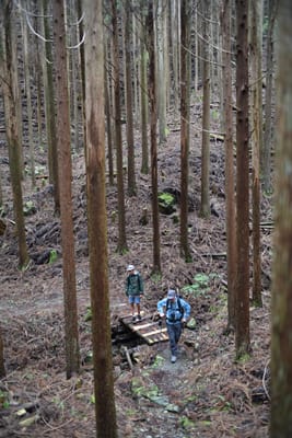 DSC_3877.JPG