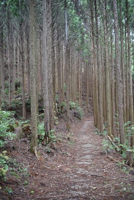 DSC_3878.JPG