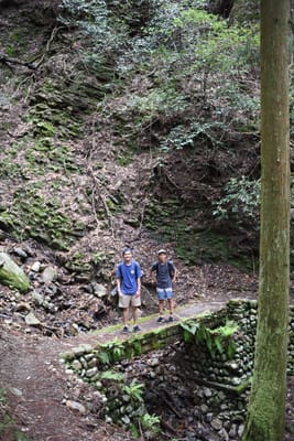 DSC_3882.JPG