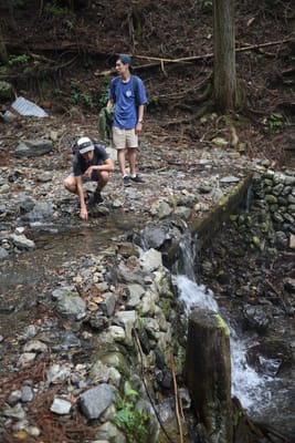 DSC_3886.JPG