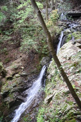 DSC_3890.JPG