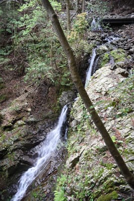 DSC_3891.JPG