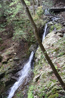 DSC_3892.JPG