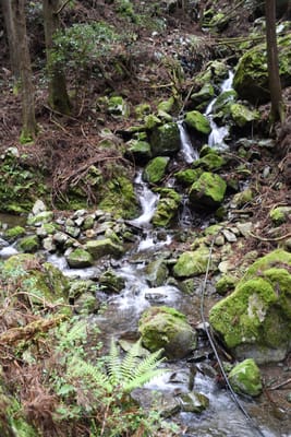 DSC_3893.JPG