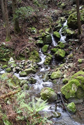 DSC_3894.JPG