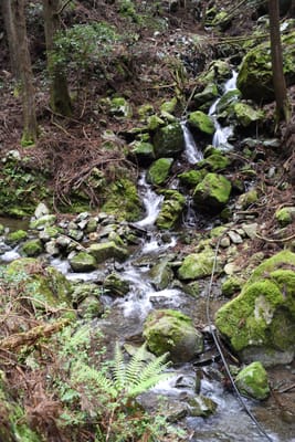 DSC_3895.JPG
