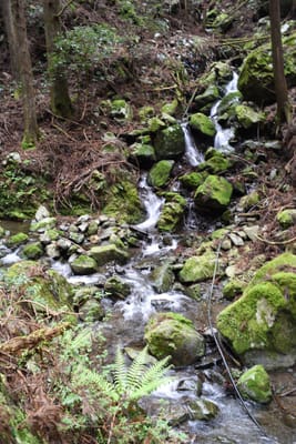 DSC_3896.JPG