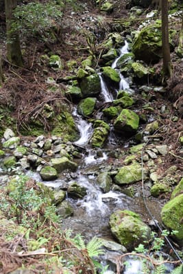 DSC_3897.JPG