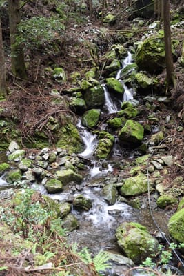 DSC_3898.JPG