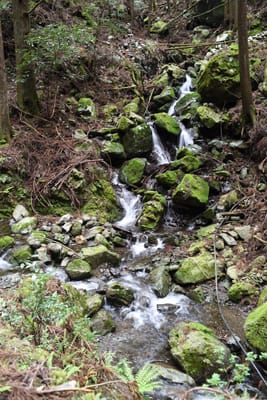 DSC_3899.JPG