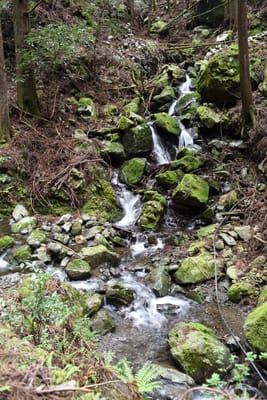 DSC_3900.JPG