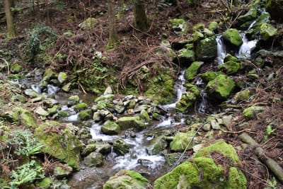 DSC_3902.JPG