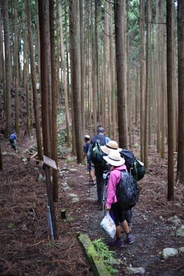 DSC_3903.JPG