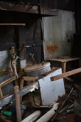 DSC_3906.JPG
