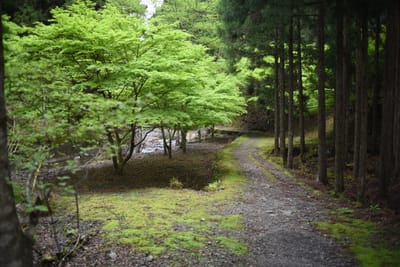 DSC_3912.JPG