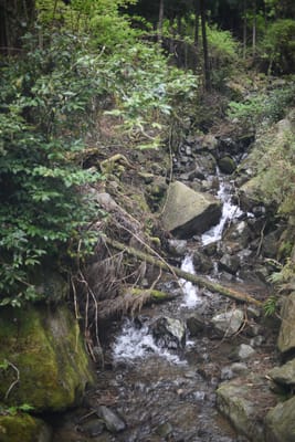 DSC_3913.JPG