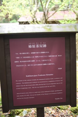 DSC_3914.JPG