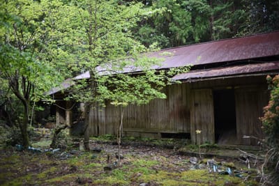 DSC_3915.JPG