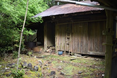 DSC_3918.JPG