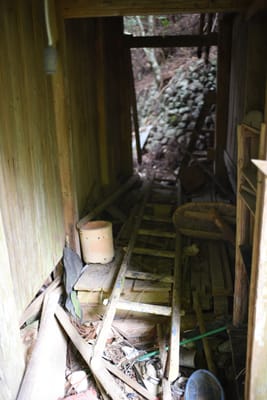DSC_3919.JPG