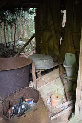 DSC_3920.JPG