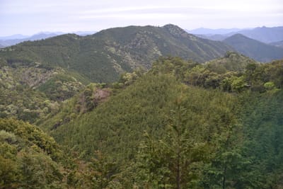 DSC_3926.JPG