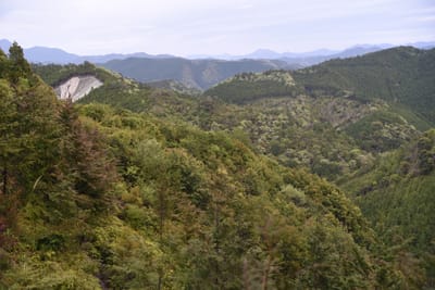 DSC_3927.JPG