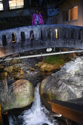 DSC_3940.JPG