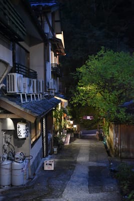 DSC_3944.JPG