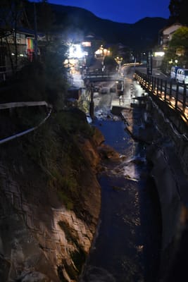 DSC_3953.JPG