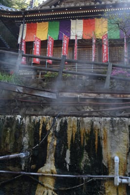 DSC_3986.JPG