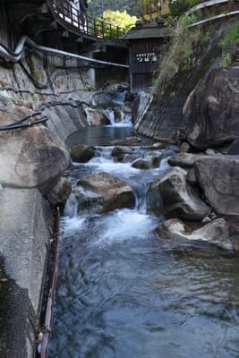 DSC_3987.JPG