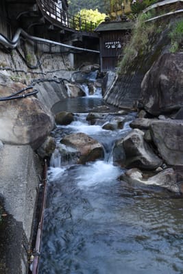 DSC_3988.JPG