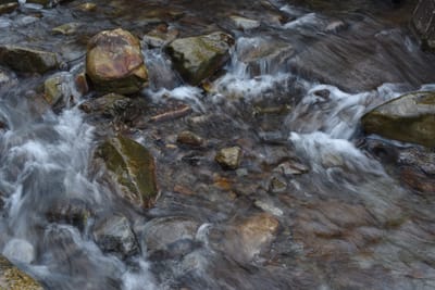 DSC_3992.JPG