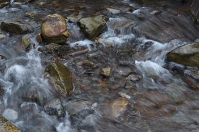 DSC_3993.JPG