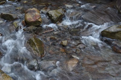 DSC_3994.JPG
