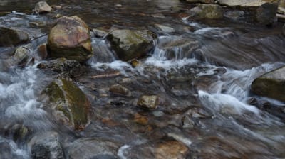 DSC_3995.JPG