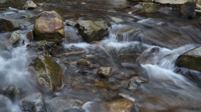 DSC_3996.JPG