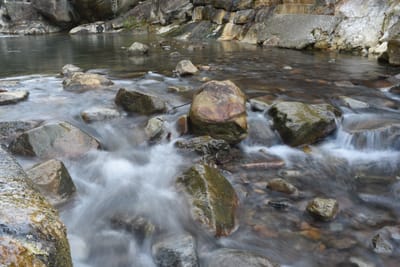 DSC_3998.JPG