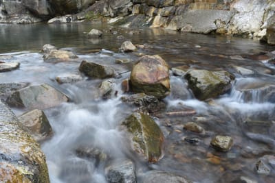 DSC_3999.JPG