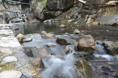 DSC_4000.JPG