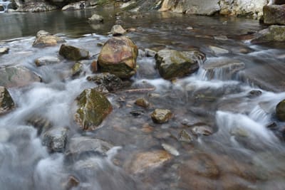 DSC_4001.JPG