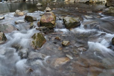 DSC_4002.JPG