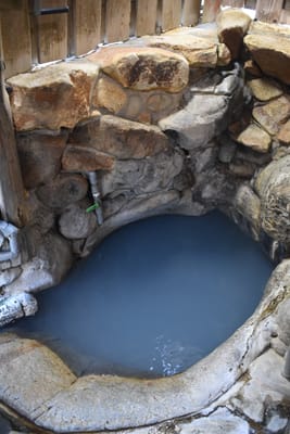 DSC_4009.JPG
